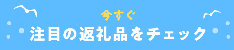 今すぐ注目の返礼品をチェック