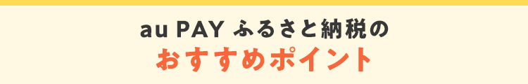 au PAY ふるさと納税のおすすめポイント