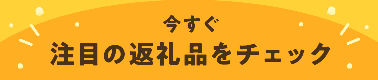 今すぐ注目の返礼品をチェック