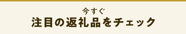 今すぐ注目の返礼品をチェック