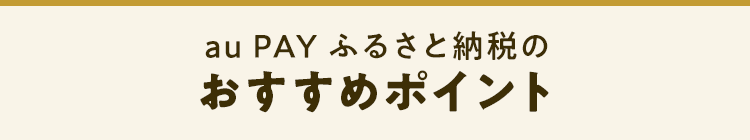 au PAY ふるさと納税のおすすめポイント