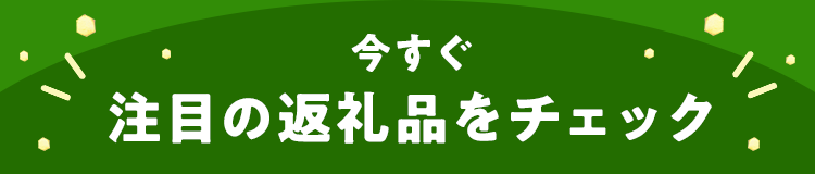 今すぐ注目の返礼品をチェック