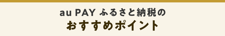 au PAY ふるさと納税のおすすめポイント