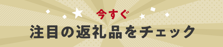 今すぐ注目の返礼品をチェック