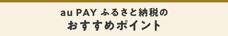 au PAY ふるさと納税のおすすめポイント