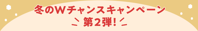 冬のWチャンスキャンペーン 第2弾