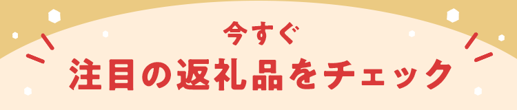 今すぐ注目の返礼品をチェック