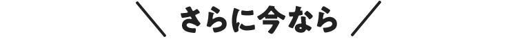 さらに今なら