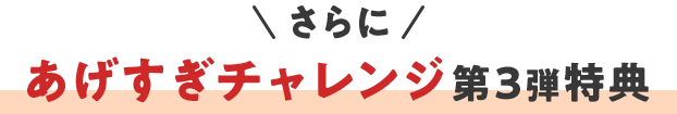 さらに あげすぎチャレンジ第3弾特典