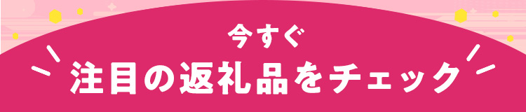 今すぐ注目の返礼品をチェック