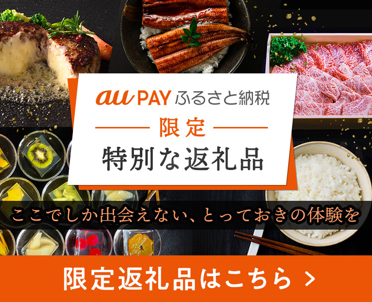 限定返礼品はこちら