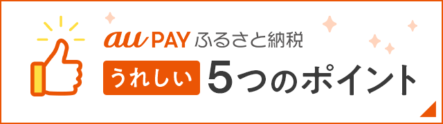 au PAY ふるさと納税 うれしい5つのポイント